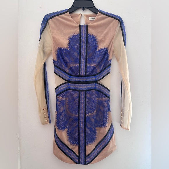 Three Floor Mesh and Lace Long Sleeve Mini Dress - Picture 3 of 9